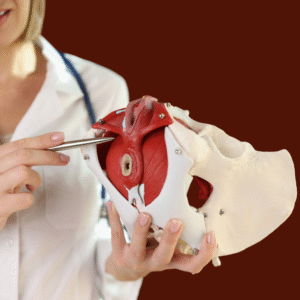 Vaginisme, een voorbeeld van bekkenbodemspieren