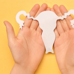 illustratie van baarmoeder met handen, symbool voor PCOS en vrouwengezondheid